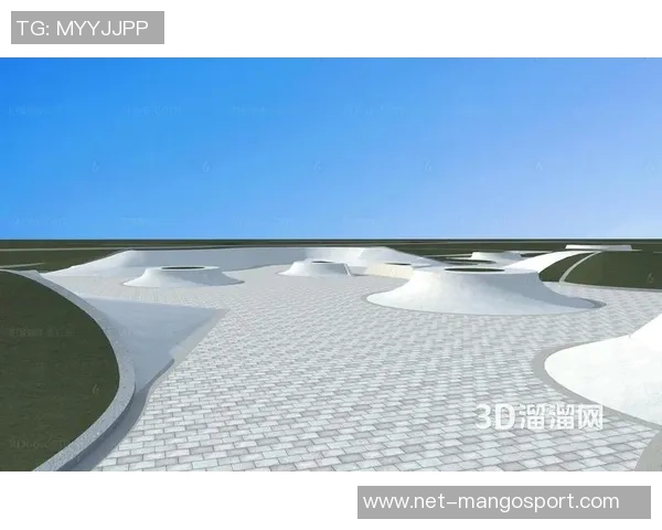 北京极限运动队的灵活性研究与发展趋势分析