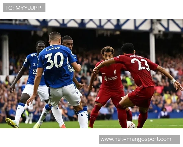 埃弗顿对阵利物浦央视5直播精彩回顾与赛前分析